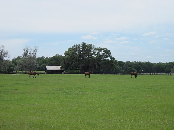 Green Pastures