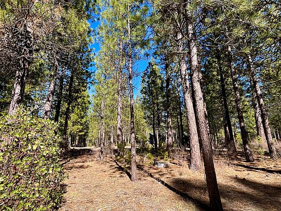 4th image of 14171 Whitewater Loop