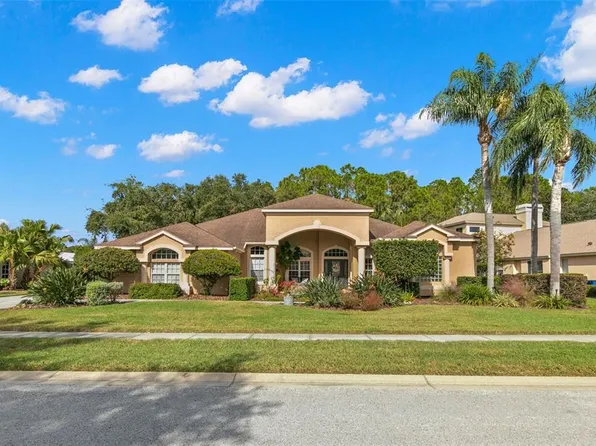 4449 Roanoak Way, Palm Harbor, FL 34685