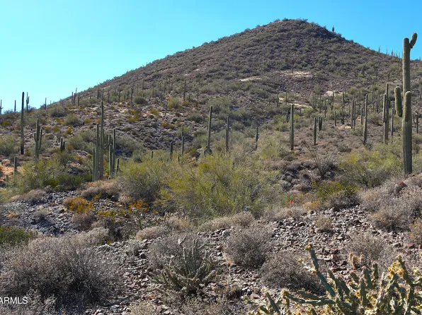7XXX N 80th Street #'-', Cave Creek, AZ 85331