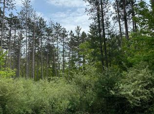V/l W Dickerson Lake Rd, Gowen, MI 49326