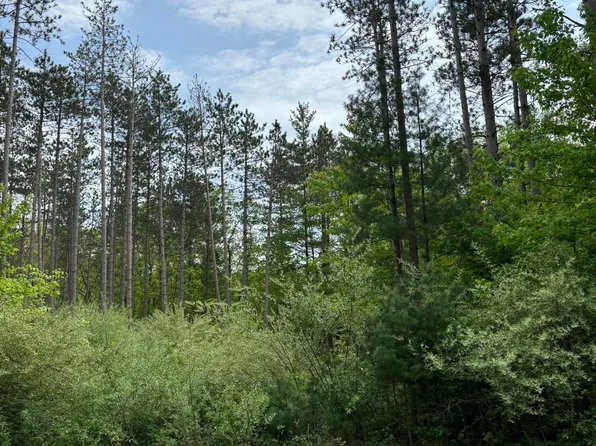 V/l W Dickerson Lake Rd, Gowen, MI 49326