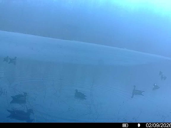 016578003870406 63 3 02092026073007 V Syfw05714