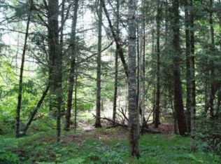 On Tower Rd, Phillips, WI 54555