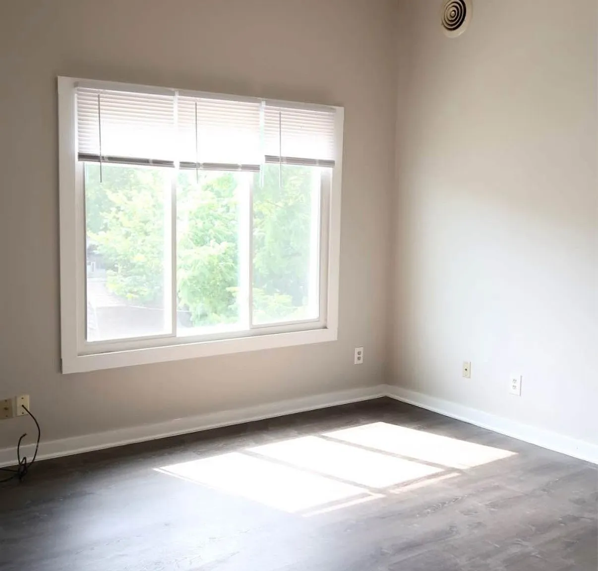 2 bed, 1.0 bath, $900 — Photo 4