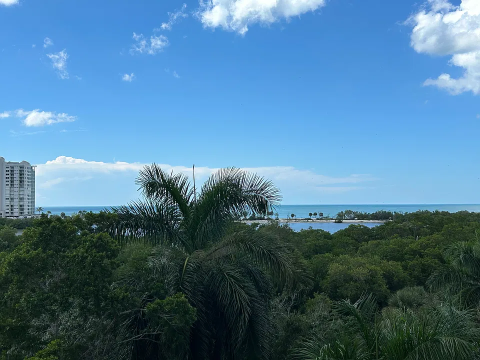 view from balcony