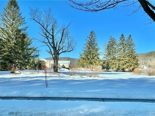 13 Elizabeth St #6, Ellicottville, NY 14731