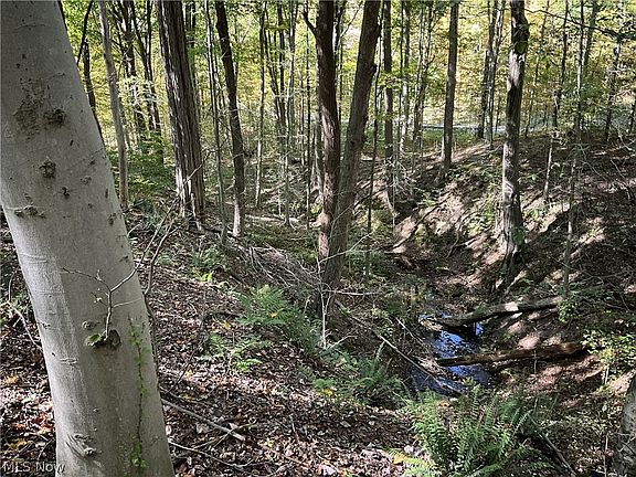 4th image of Township Road 2 Streetsboro Rd Lot 7