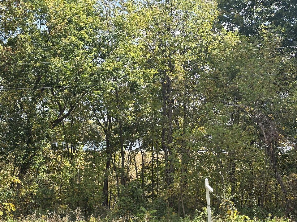 2nd image of Hankerd Rd