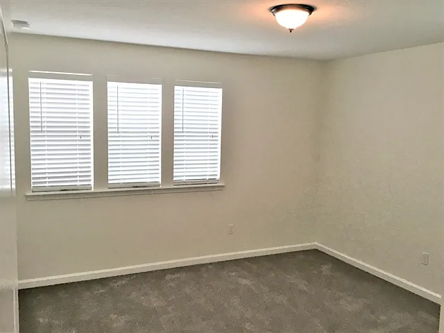 207 Buck Run Way — Photo 14