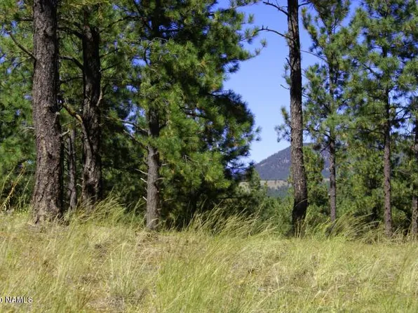 3610 W Strawberry Roan, Flagstaff, AZ 86005