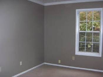 3rd image of 1801 Augusta Dr