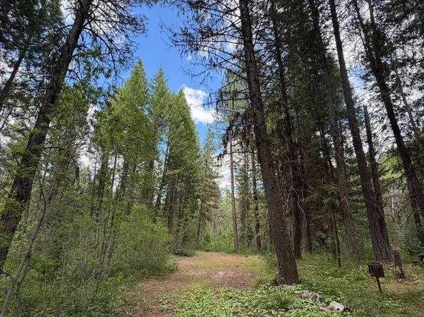 41 Blue Spruce Ln, Cascade, ID 83611
