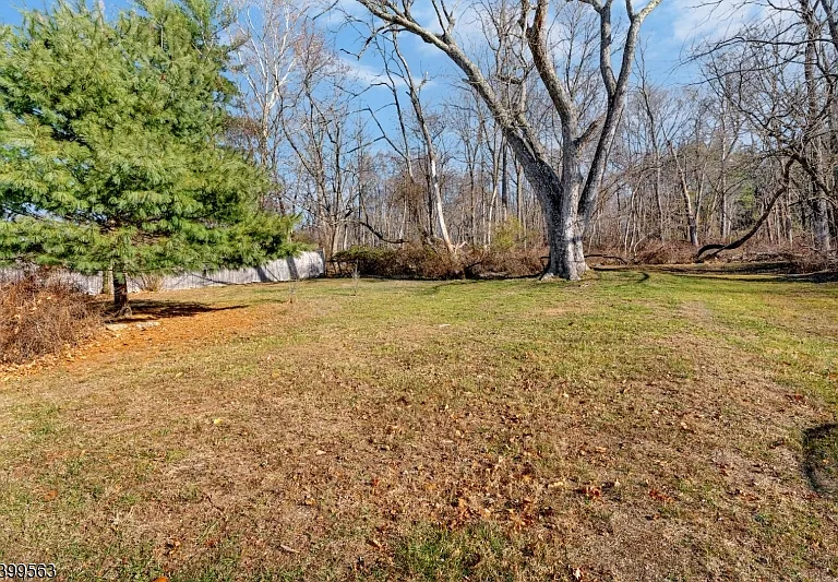 16 Tisco Ave — Photo 26