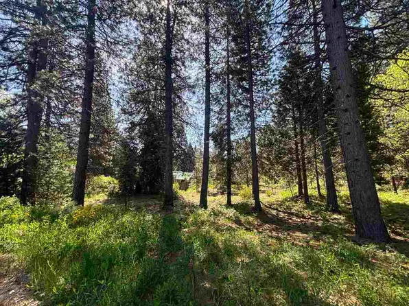 LOT 45 Panther Meadow Dr, McCloud, CA 96057