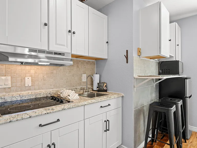 Kitchenette / Cook Top / Sink