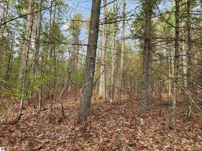 Hall Creek Rd, Interlochen, MI, 49643