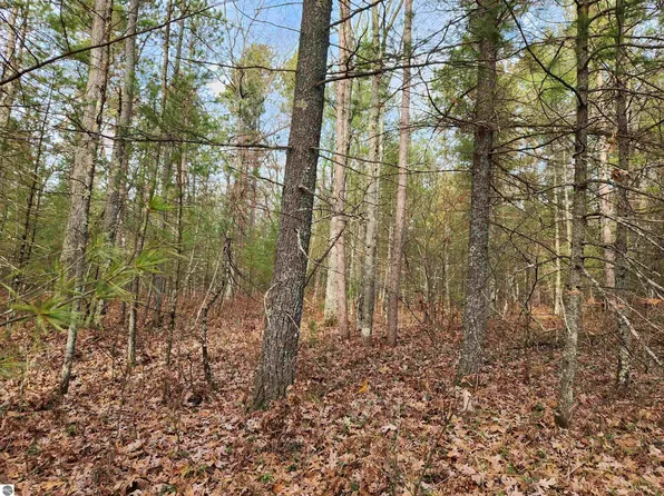 Hall Creek Rd, Interlochen, MI 49643