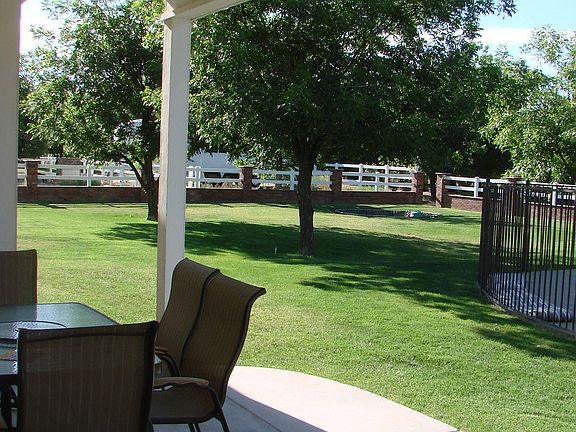 Back Yard/Patio