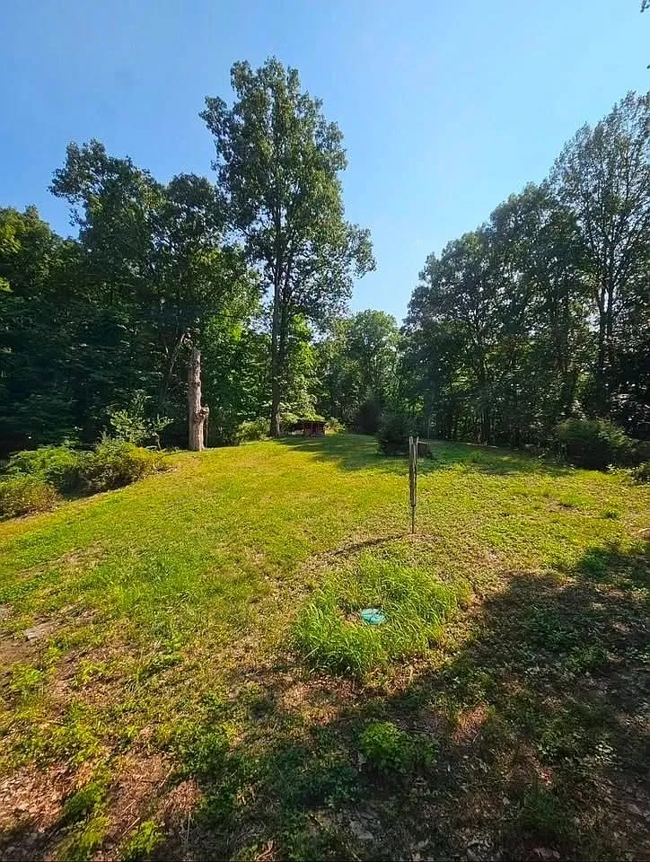 5 bed, 1664 sqft, $3,050 — Photo 3