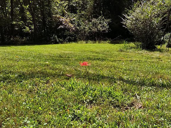 2nd image of (Undisclosed Address)