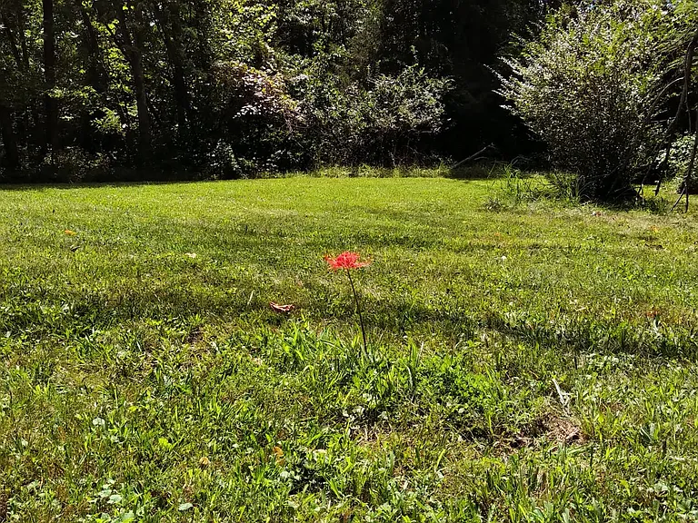 Burnt Acres Ct — Photo 7