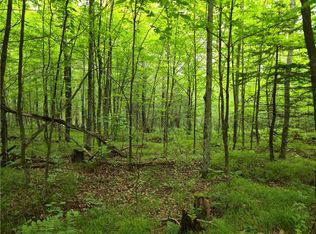 Lot 31 & 32 Woodcrest Drive, Cable, WI 54821