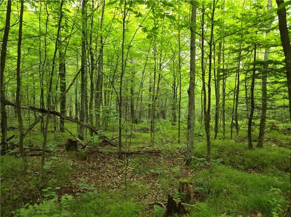 Lot 31 & 32 Woodcrest Drive, Cable, WI 54821