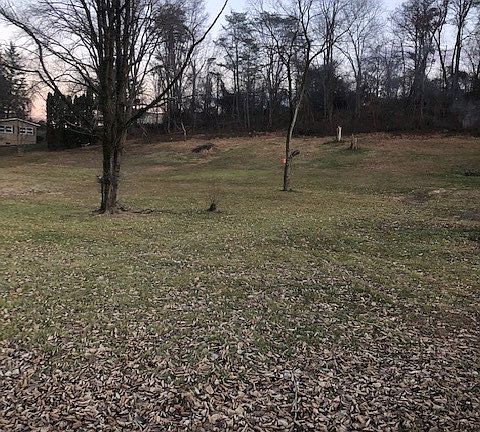 4th image of LOT 2 Us Highway 522 S