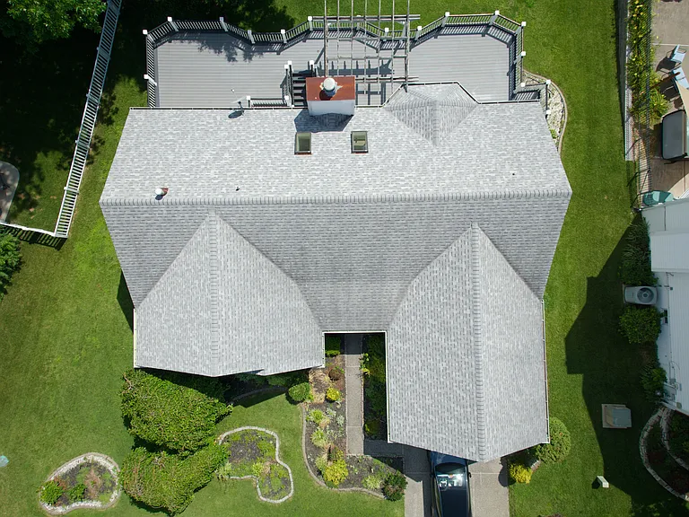 Bird View