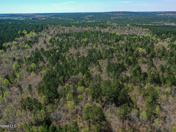 Plattsburg Mount Calvary Rd, Noxapater, MS 39346