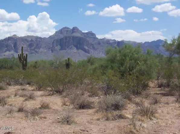 1624 E CONCHO Street #13, Apache Junction, AZ 85119