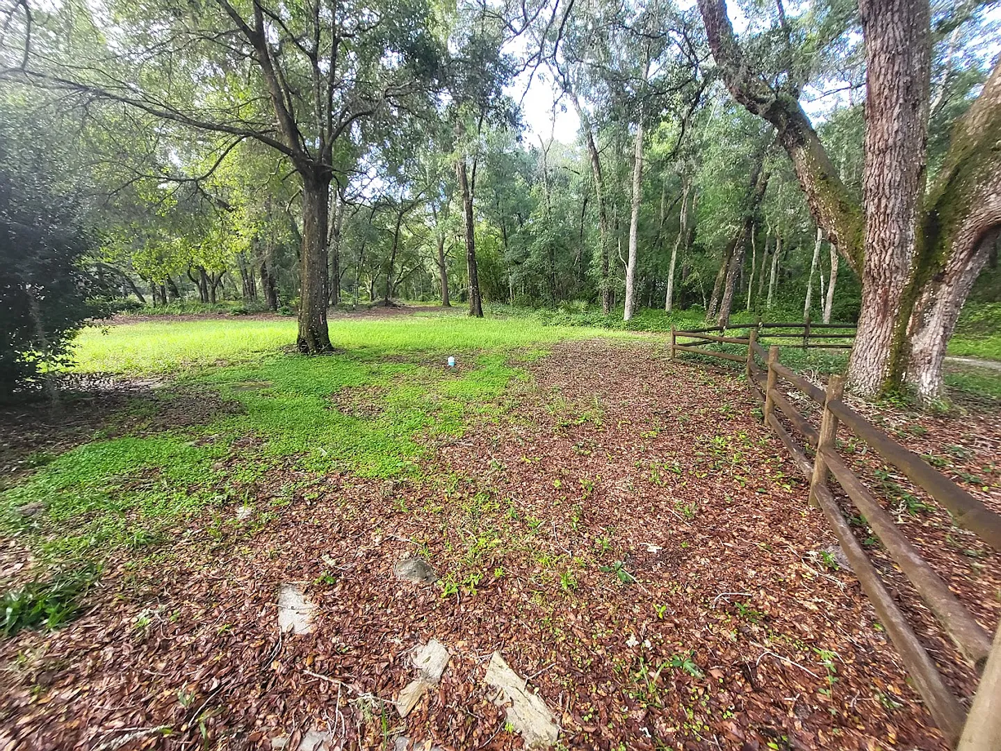 Big 3-bedroom, 2-bath home on 3 acres of fenced land! — Photo 4