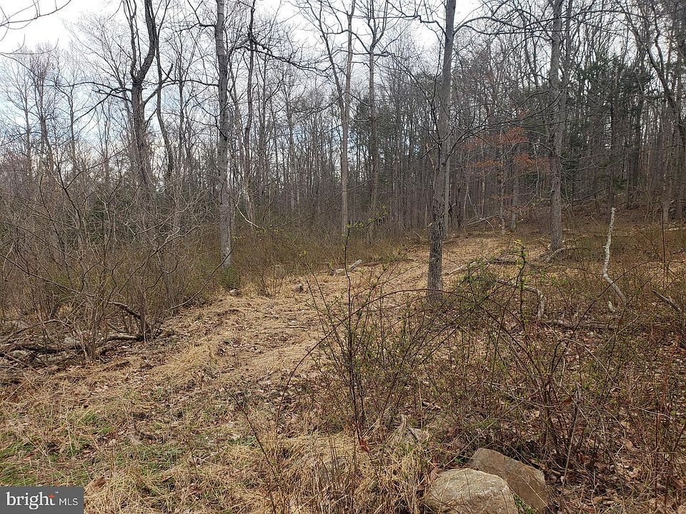 2nd image of 4 Eagle Ln
