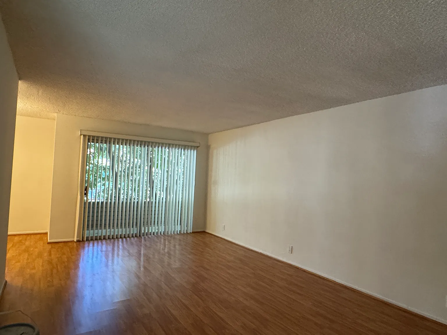 1815 Meridian Apartments — Photo 4