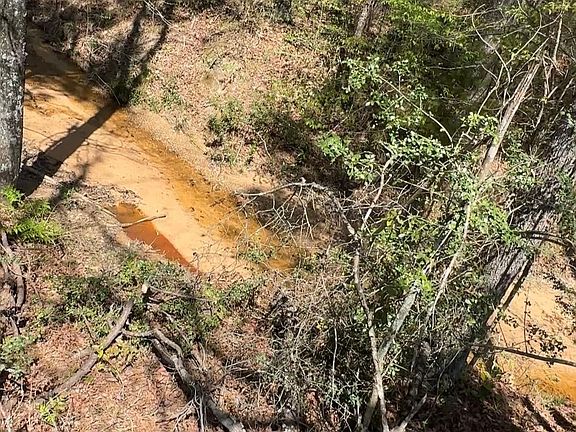 5th image of 16283 Ridge Oak Rd