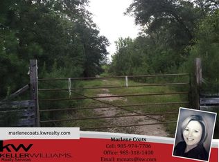 29303 James Chapel Rd, Albany, LA 70711