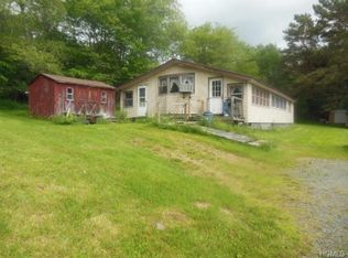 14 Old Lilly Pond Rd, Parksville, NY 12768