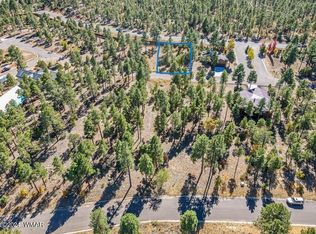 341 E Huckleberry Ln, Show Low, AZ 85901