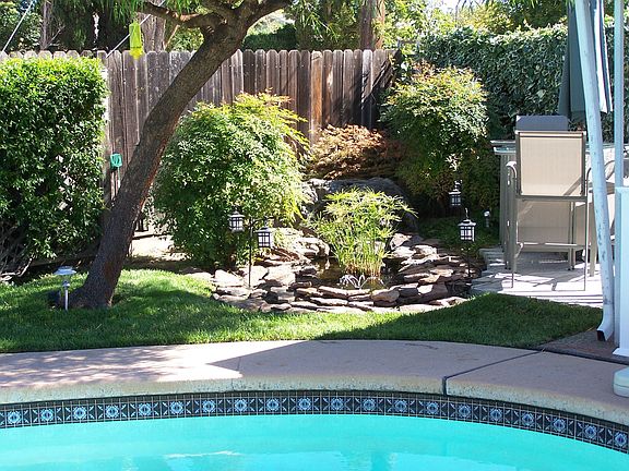 Backyard 2