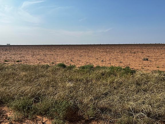 3rd image of Fm 54