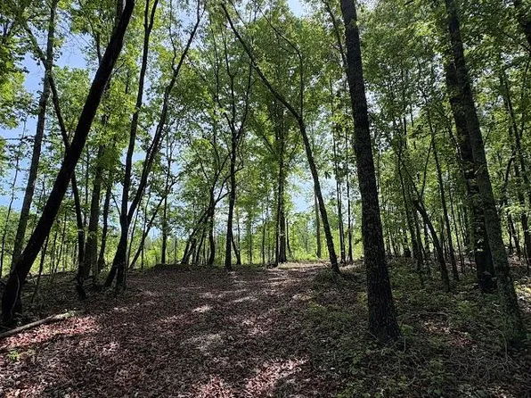 0 Roy Dean Rd #205, Buchanan, GA 30113
