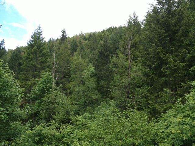 1st image of 404 Bear Gulch Rd