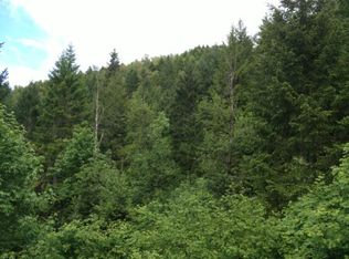 404 Bear Gulch Rd, Wolf Creek, OR 97497
