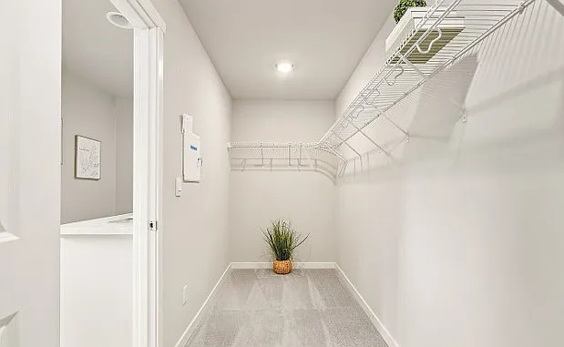 4 bed, 2451 sqft, $3,500 — Photo 2