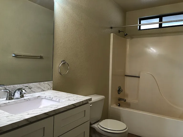 Hall bathroom