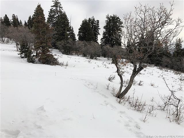 1st image of 2232 Pine Meadow Dr