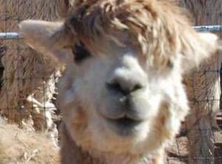 54B Jacinto Rd, Santa Fe, NM 87508