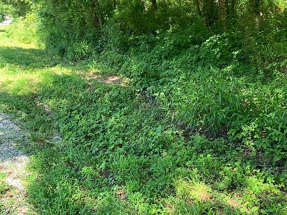 2nd image of Old Lake City Hwy