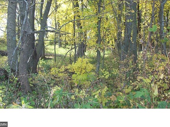 3rd image of Xx 335th Avenue Washington Lake Twp